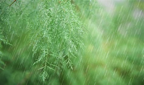 雨水时节听雨声：雨水淅淅 引人沉思_凤凰网国学_凤凰网