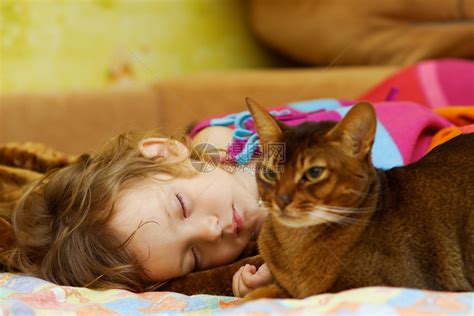 小女孩睡在床上就在它旁边猫高清图片下载-正版图片504655820-摄图网