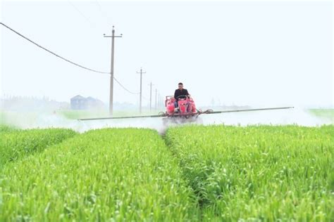 荆州区弥市镇大力推广农业机械化 实现轻简化生产-新闻中心-荆州新闻网