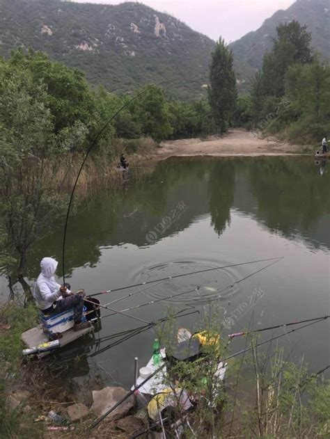 韬哥钓鱼 金龙湖探钓 [视频]