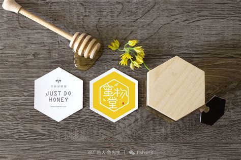 秦岭蜂蜜品牌logo设计 （飞机稿）|平面|Logo|Banggzii - 原创作品 - 站酷 (ZCOOL)