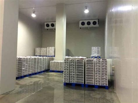 大型冷库设计安装建造规范_上海雪艺制冷科技发展有限公司
