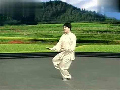 32式杨式太极拳背向全套演练（宗维洁）_腾讯视频