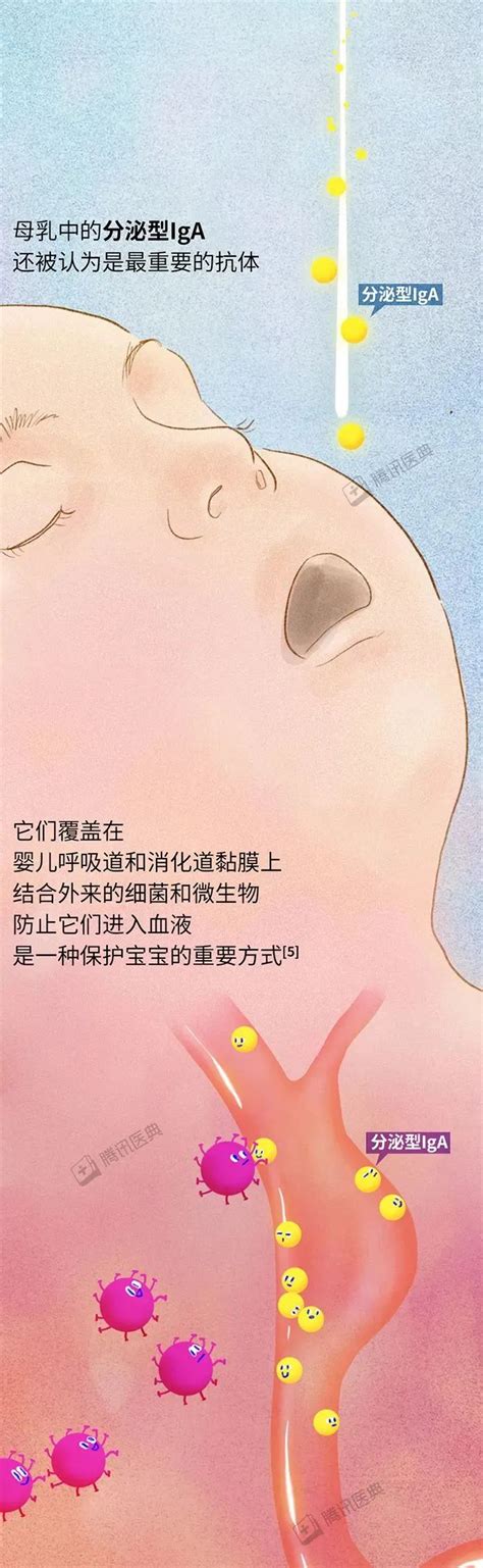 37℃永恒的爱——母乳喂养知多少-四川科技报
