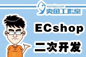 ectouch二次开发 ecshop二次开发 小京东 大商创 模板修改 定制 - 送码网