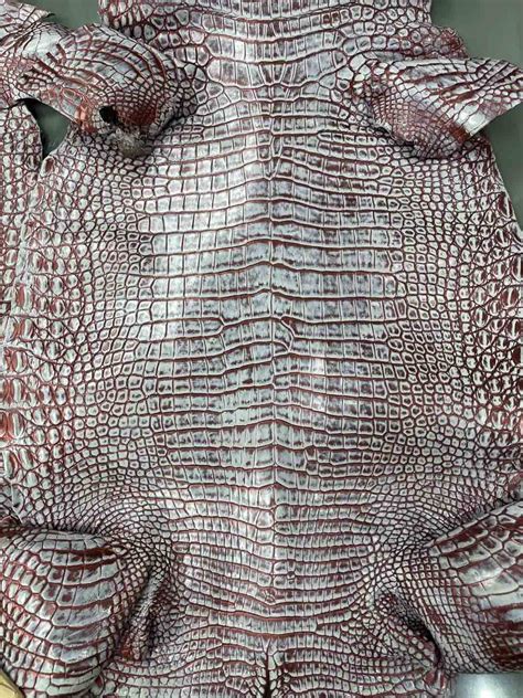 美洲 鳄鱼皮 稀有动物真皮 凯门 鳄鱼肚皮和鳄鱼骨皮各个颜色-阿里巴巴