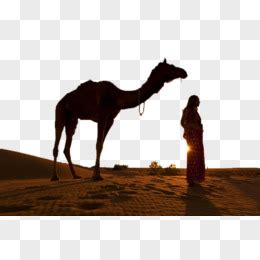 骆驼户外(4)图片 骆驼户外(4)图片大全_社会热点图片_非主流图片站