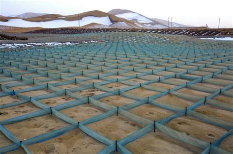 阻沙网沙漠公路防风挡沙用低立式HDPE尼龙网格沙障