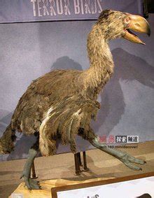 可怕的史前掠食动物恐鸟，鸟类史前怪兽里面它是最大的了！_腾讯视频