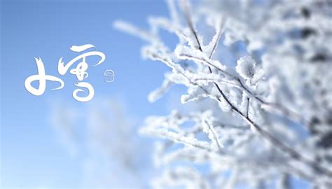 关于“雪”的24种雅称，美到窒息丨绝佳素材_雪花