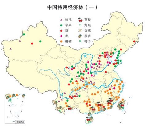 中国特用经济林分布图_中国地图_初高中地理网