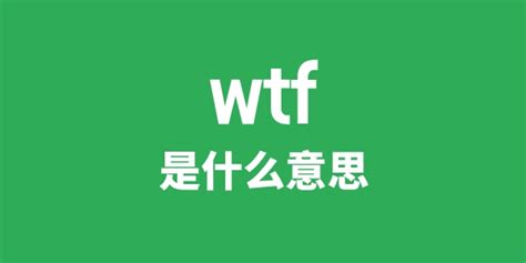 wtf是什么意思_学习力