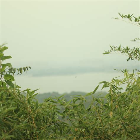 【绿树成荫摄影图片】山东滨州生态摄影_此情此景_太平洋电脑网摄影部落
