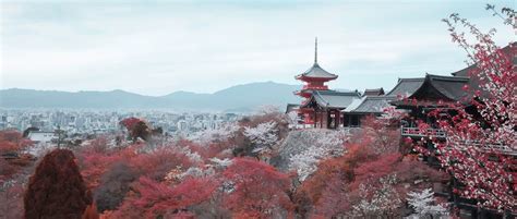 一场雪，让日本京都回到“长安”和“洛阳”|京都|洛阳|日本_新浪新闻