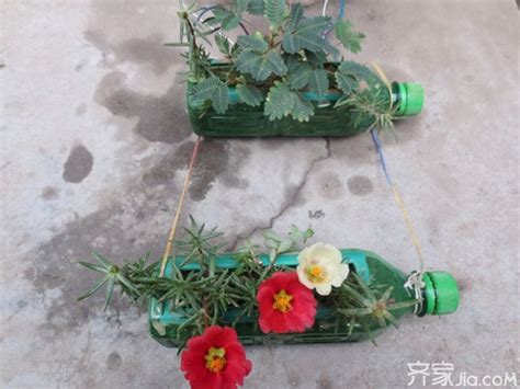 塑料水瓶变花瓶图片
