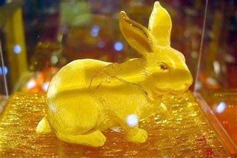 我们中国的兔子有哪些品种呢