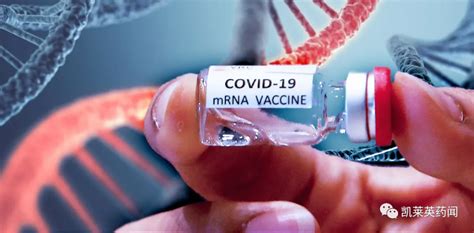 辉瑞寻求FDA下个月批准其第三针新冠mRNA疫苗|mRNA|FDA|德尔塔|新冠|疫苗|辉瑞|-健康界