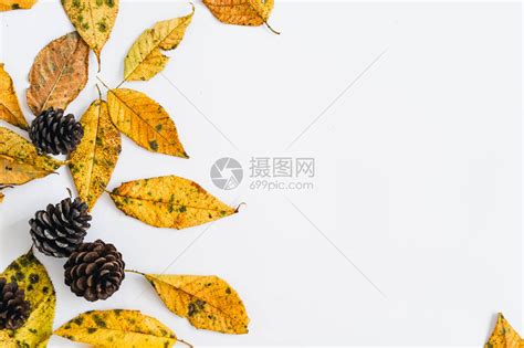 白色和秋天的黄叶和一杯咖啡高清图片下载-正版图片504319405-摄图网