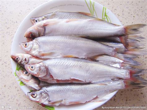 红烧鳊鱼的烹饪技巧,红烧鳊鱼的做法,红烧鳊鱼的营养价值,红烧鳊鱼配什么好吃_齐家网