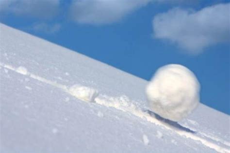 冬天推雪球png图片免费下载-素材7imVgkUWe-新图网