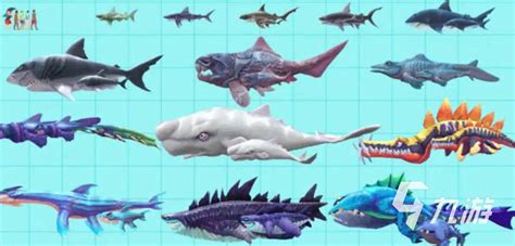 食人鲨千鸟岛在哪里 食人鲨千鸟岛位置-梦幻手游网