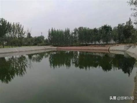邱县：农村“废弃坑塘”变身“绿水花园”_发展