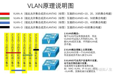 VLAN详解，让你看一遍就理解VLAN - 知乎