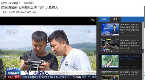[新闻直播间]云南西双版纳“追”大象的人【CCTV13 新闻直播间2021年06月09日 15:50 _www.isenlin.cn