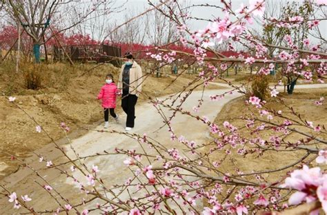 菏泽市昆明路万福河桥——【老百晓集桥】