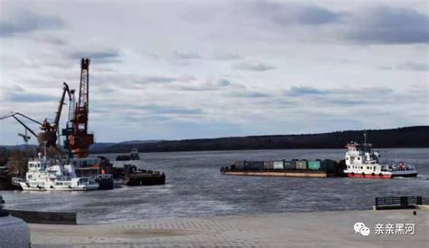 「网媒看黑河」首次成规模出口中国！第一批667吨俄罗斯远东小麦运抵黑河口岸
