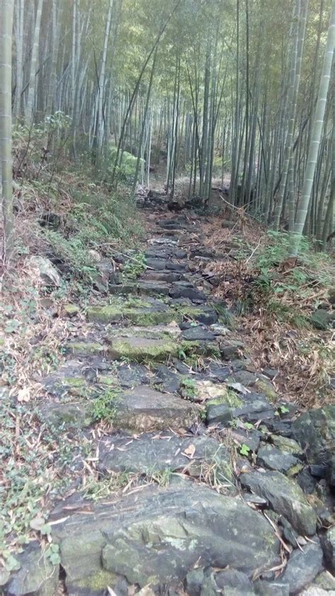 安吉古道有哪些,安吉古道徒步,安吉章里古道在哪里_大山谷图库