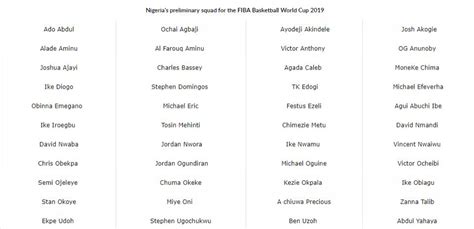 尼日利亚篮协公布世界杯集训名单：阿米努领衔 10人效力NBA - 球迷屋