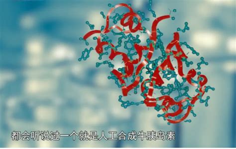 首次人工全合成牛胰岛素（新中国的“第一”）-新闻中心-温州网