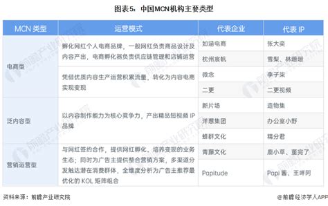 2022年中国MCN机构市场现状及区域格局分析 规模迅速扩张【组图】_行业研究报告 - 前瞻网
