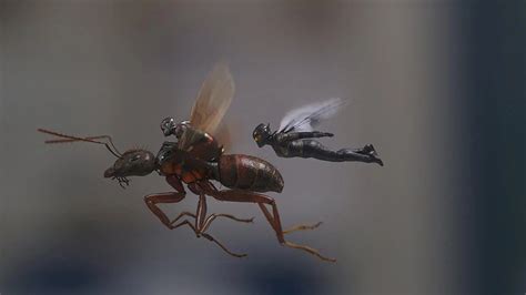《蚁人2》片尾彩蛋揭示了《复仇者联盟3》发生时蚁人在做啥