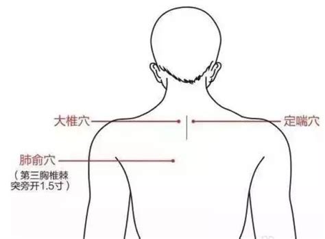 至阳的准确位置图图片 至阳的准确位置图图片