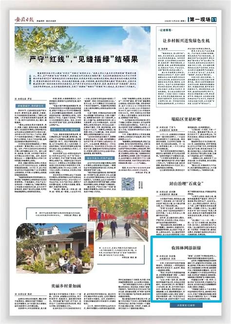 今天，《安徽日报》头版聚焦蒙城_服务_创业_企业