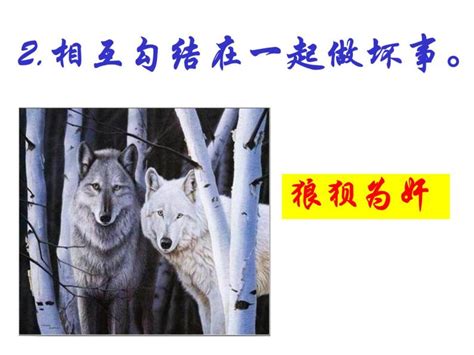 小狼林林想和猎狼人的小孩做朋友！不料却引狼入室！！！（中国奇谭）_腾讯视频