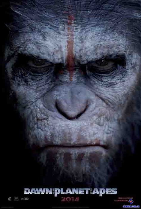 《猩球崛起4：新世界》新剧照 年轻猿猴自我寻找之路_3DM单机