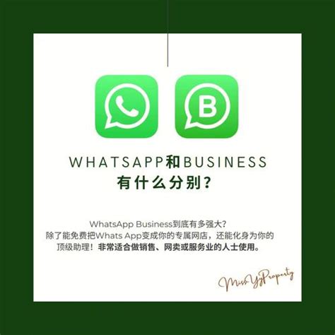 2023新版WhatsApp安装包下载_石南学习网