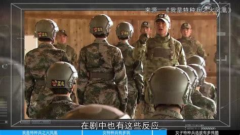 从影视剧到现实：揭秘中国特种兵_腾讯视频