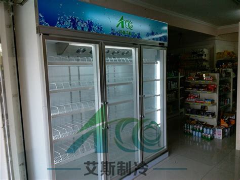捷盛立式冷冻展示冰柜小型迷你家用冰箱商用玻璃榴莲冰淇淋雪糕柜-阿里巴巴