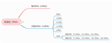 16sRNA测序技术与高通量测序技术有什么区别？ - 知乎