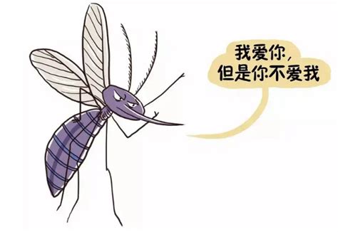 梦见蚊子 做梦梦见蚊子是什么预兆 梦见蚊子好不好_动物-大家找