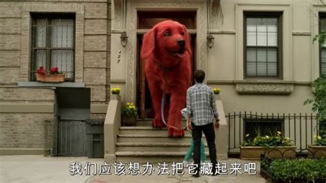 《大红狗克里弗》红色小狗一夜之间变成三米的庞然大物_腾讯视频