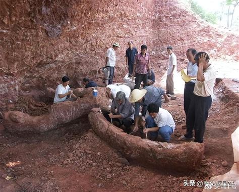 武冈发现巨型“龙爪石”，专家称并非动物化石或文物 - 邵阳 - 新湖南