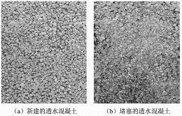 吉姆·特 的图像结果