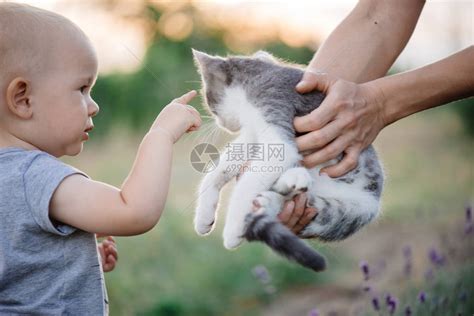 妈妈把猫抱在小孩子面前高清图片下载-正版图片502518132-摄图网
