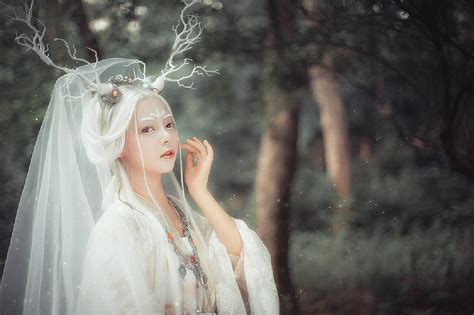灵仙图片
