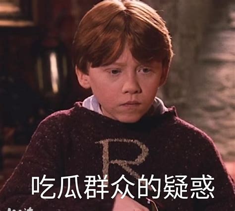 哈利&#183;波特表情包图片
